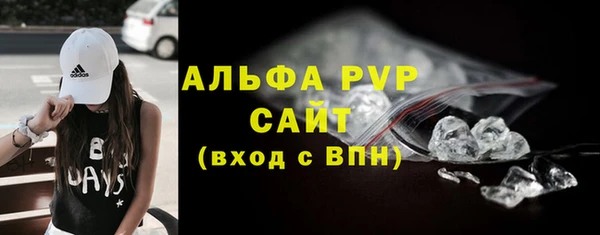 гашик Алексин
