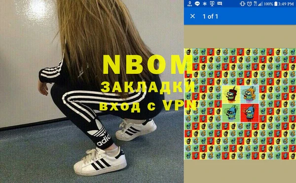 гашик Алзамай
