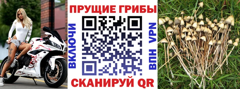 Псилоцибиновые грибы ЛСД  Углегорск 